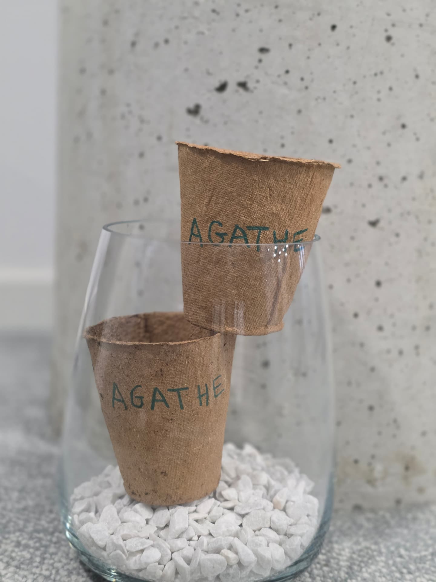 Les plantations de Agathe